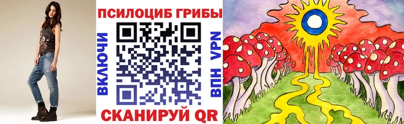 Купить где  Пенза  Псилоцибиновые грибы ЛСД 